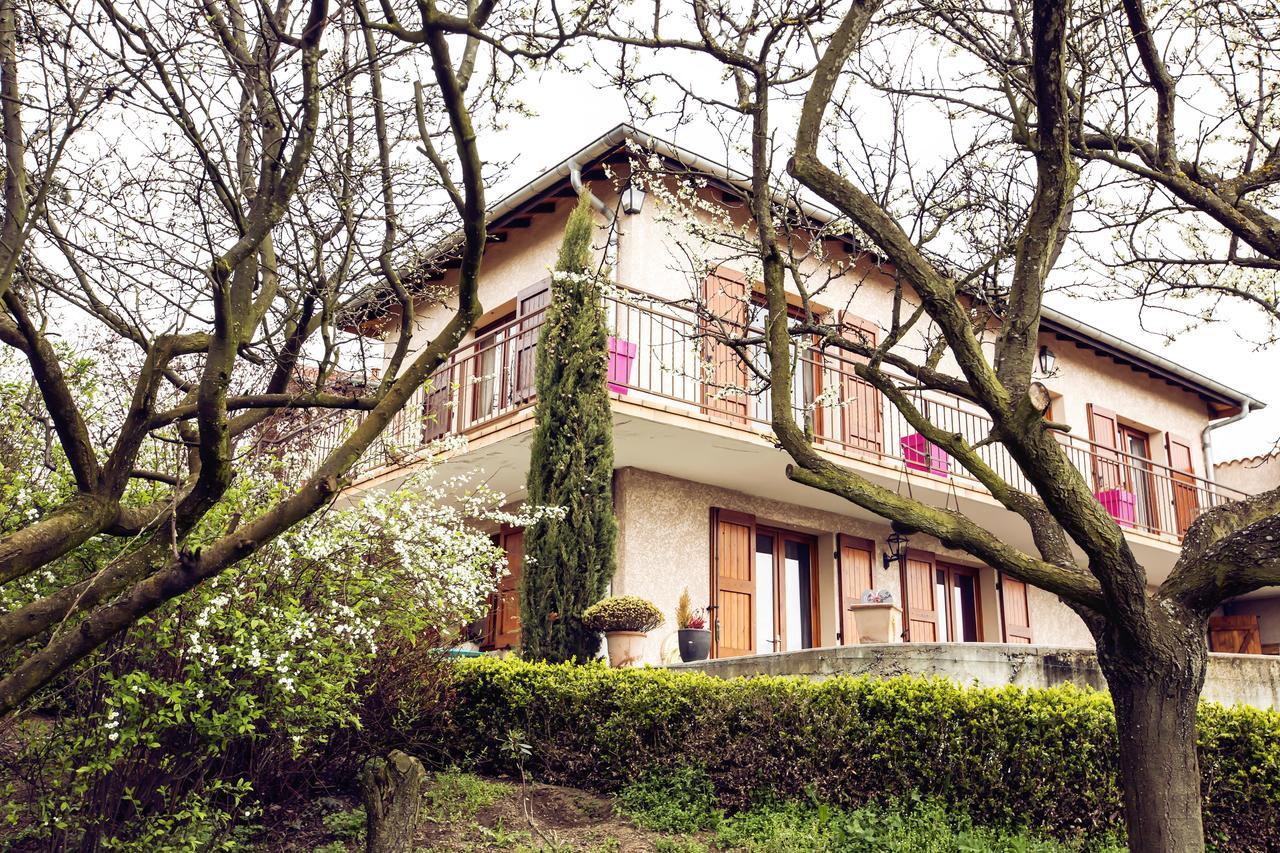 Chambre D'Hotes Des Lys Montbrison Exterior foto